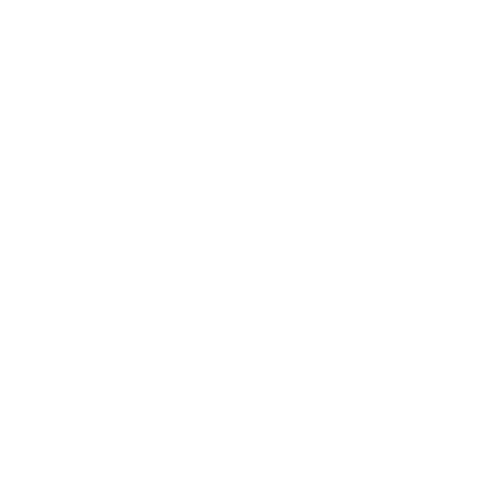 INVISIBLE LOGO